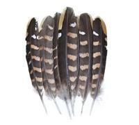 QXWD Plumes de faisan naturelles Plumes de paon Aigle Petite Plume Artisanat Accessoires Création Bijoux Décoration de Vacances