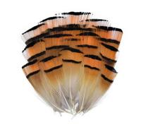 QXWD Plumes de faisan naturelles Plumes de paon Aigle Petite Plume Artisanat Accessoires Création Bijoux Décoration de Vacances