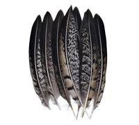QXWD Plumes de faisan naturelles Plumes de paon Aigle Petite Plume Artisanat Accessoires Création Bijoux Décoration de Vacances