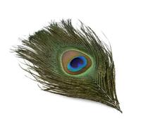 QXWD Plumes de faisan naturelles Plumes de paon Aigle Petite Plume Artisanat Accessoires Création Bijoux Décoration de Vacances