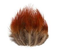 QXWD Plumes de faisan naturelles Plumes de paon Aigle Petite Plume Artisanat Accessoires Création Bijoux Décoration de Vacances