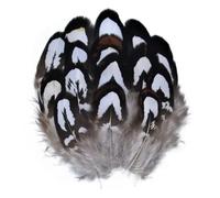 QXWD Plumes de faisan naturelles Plumes de paon Aigle Petite Plume Artisanat Accessoires Création Bijoux Décoration de Vacances