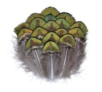 QXWD Plumes de faisan naturelles Plumes de paon Aigle Petite Plume Artisanat Accessoires Création Bijoux Décoration de Vacances