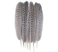 QXWD Plumes de faisan naturelles Plumes de paon Aigle Petite Plume Artisanat Accessoires Création Bijoux Décoration de Vacances