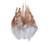 QXWD Plumes de faisan naturelles Plumes de paon Aigle Petite Plume Artisanat Accessoires Création Bijoux Décoration de Vacances