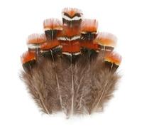 QXWD Plumes de faisan naturelles Plumes de paon Aigle Petite Plume Artisanat Accessoires Création Bijoux Décoration de Vacances