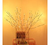 QYLJZB Lot de 5 branches lumineuses à LED - 20 LED - Blanc chaud - Décoration pour arbre de Noël - Décoration d'intérieur ou d'extérieur