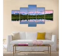QYYAMDEQ Tableau Grand Format 5 Parties Wonder Lake au Parc National de Denali Moderne Décor Home Wall Art pour l'image Tableaux, Posters Et Arts Décoratifs 200x100(Pas De Cadre)