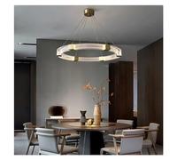 QYYZTQY Acrylic Shade Ceiling Aluminum Gloss Body Oval Ring Pendant Dining Room Bedroom Indoor Pendants, Chandelier