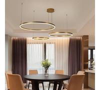 QYYZTQY Ring Height Adjustable Hanging Light Lights Compatible with Kitchen Living Room, Chandelier