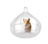 Qzdtue Bain de sable pour hamsters, salle de bain à l'ail transparent, habitat pour petits animaux, 14 x 14 x 13 cm, abri fermé pour animaux de compagnie, exploration amusante, pour se baigner, jouer