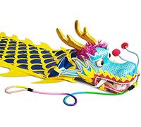 QZLNONTK Ruban de Danse du Dragon Poi, Ruban de Pratique en Spirale for Dragon doré, Ruban de Danse du Dragon Bleu et Jaune for Parc, pelouse, Parc extérieur(8m/26ft Lenght)