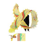 QZLNONTK Ruban de Danse du Dragon Poi, Rubans de Fitness for Sports de Plein air for Jeunes/Adultes/Personnes âgées Fitness Folklorique Chinois Sports de Plein air Parc extérieur(Yellow,10m/33ft)