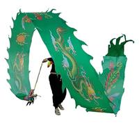 QZLNONTK Ruban de Danse du Dragon Poi, Sortie printanière en Plein air, Jeu dans la Cour, Baguettes en Fibre de Verre et Sac de Voyage! Parc extérieur(Green,8m/26ft)