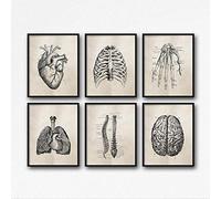 QZROOM Anatomie Humaine Science Affiches Vintage Art Prints, Anatomie Médicale Peinture sur Toile Médecin Clinique Mur Photos Décor | 42x60cmx6Pcs / sans Cadre