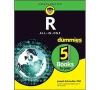 R AllinOne For Dummies by Joseph Schmuller Joseph Schmuller (Auteur)