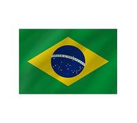 R&F srls Drapeau du Brésil national en tissu Dimensions standard 90 x 150 cm