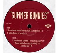 R Kelly & Public Announcement - Summer Bunnies [Vinyl LP]
