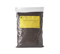 R&R SHOP - Graines de Phacélie, Phacelia Tanacetifolia, Floraison Rapide, Riche en Nectar pour Abeilles et Papillons, Idéale pour Pelouses et Jardins (500 g - 300 m²)