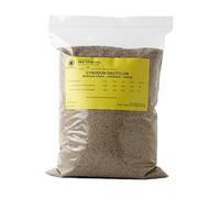 R&R SHOP - Graines pour Gazon Résistant,Cynodon Dactylon, Origine USA, Résistant à la Chaleur & Sécheresse, Piétinable. (200gr-20mq)