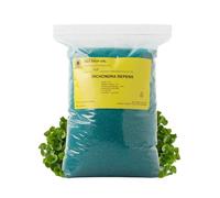 R&R SHOP - Semences À Gazon, Dichondra Repens, Origine USA, Résistantes Et Décoratives (200gr - 20mq)