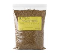 R&R SHOP - Semences de Gazon, Trèfle Nain Trifolium Repens, ans Tonte, Praticable et Couvre-Sol (200g - 50m²)