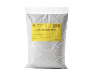 R&R SHOP - Semences de Gazon, Trèfle Nain Trifolium Repens, ans Tonte, Praticable et Couvre-Sol (900g - 225m²)