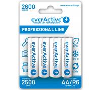 R6 AKU 4BL Everactive 2600 professionnel