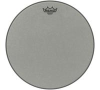 RA-0015-ss - Renaissance Ambassador 15''