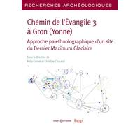RA 30 - Chemin de l'Évangile 3 à Gron (Yonne) - Approche palethnographique d'un site du Dernier Maximum Glaciaire