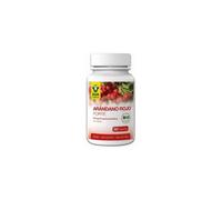 Raab Vitalfood Mirtilo Vermelho Forte Bio 90caps