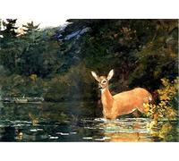 RAAMAE Peinture Murale d'art l'image murales en toile Art Célèbre une biche de Winslow Homer pour le décor de couloir 60x90cm