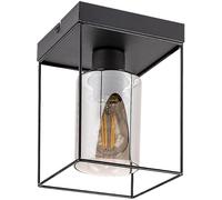 Rabalux Chadwick plafonnier 1x25 W noir-fumé 71031