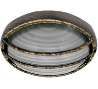 Rabalux Hektor applique murale extérieure 1x100 W doré 8499