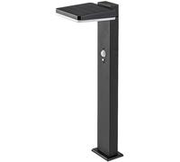 Rabalux Luminaire solaire de jardin à LED noir avec détecteur de mouvement Lasset 4,4W IP54 50cm 77079