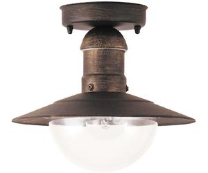 Rabalux Oslo plafonnier extérieur 1x60 W doré 8736