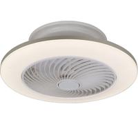 Rabalux Plafonnier LED blanc avec ventilateur Dalfon 550mm 36W CCT avec DO 6710