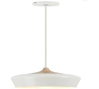 Rabalux Sadie lampe suspendue 1x60 W blanc 2563