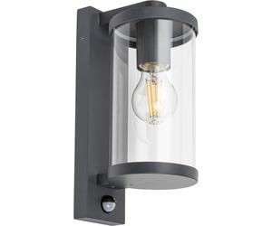 Rabalux Silistra applique murale extérieure 1x60 W transparent-anthracite 7892