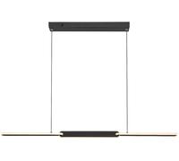 Rabalux Sindri lampe suspendue 1x36 W noir 72231