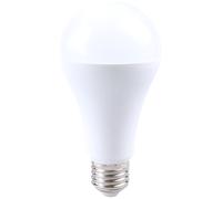 Rabalux Smd-Led ampoule led 1x22 W 3000 K E27 79117