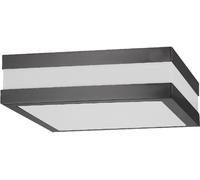 Plafonnier extérieur couleur anthracite rabalux Multicolore