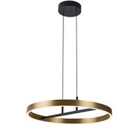 Rabalux Thric lampe suspendue 1x42 W noir-doré 72221