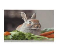 Rabbit is Eating Vegetables Petit tapis lavable avec envers en caoutchouc antidérapant pour cuisine, chambre à coucher, salle de bain, décoration de sol