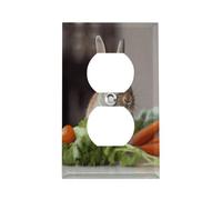 Rabbit Is Eating Vegetables Plaque d'interrupteur en acier inoxydable durable pour prise électrique incassable Bord moderne Duplex pour chambre à coucher, cuisine, maison