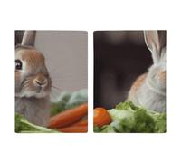 Rabbit Is Eating Vegetables Porte-passeport de voyage avec emplacements pour cartes de crédit et carte d'embarquement Porte-passeport pour passeport, cartes de crédit, cartes d'embarquement