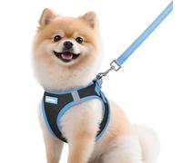 rabbitgoo Ensemble harnais et laisse pour chien de petite taille, harnais respirant pour animal domestique, gilet doux, réfléchissant pour petits chiens, noir et bleu clair, taille M