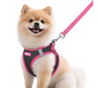 rabbitgoo Ensemble harnais et laisse pour chien de petite taille, harnais respirant pour animal domestique, gilet doux, réfléchissant pour petits chiens, noir et rose rouge, taille M