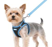 rabbitgoo Ensemble harnais et laisse pour chien de petite taille, harnais respirant pour animal domestique, gilet doux, réfléchissant pour petits chiens, noir et bleu clair, taille XS
