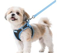 rabbitgoo Ensemble harnais et laisse pour chien de petite taille, harnais respirant pour animal domestique, gilet doux, réfléchissant pour petits chiens, noir et bleu clair, taille S